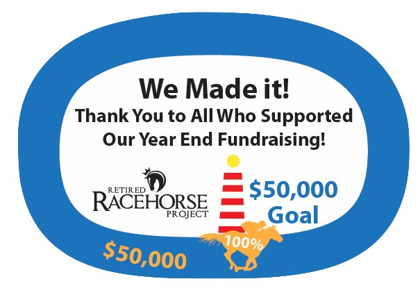 2019YearEndFundraisingGoalDone 01