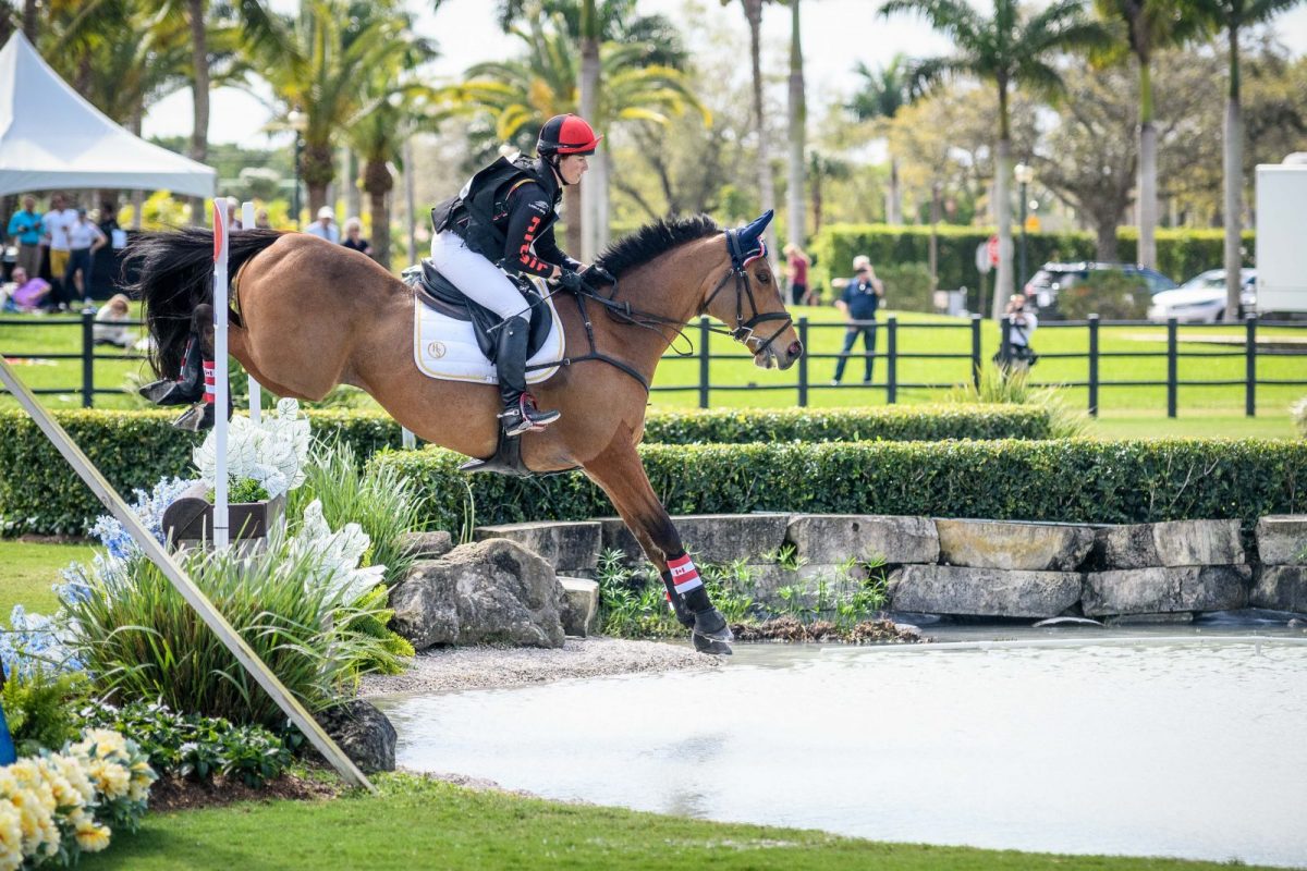 2XCHollyJacks MoreInspiration 3 1200x800