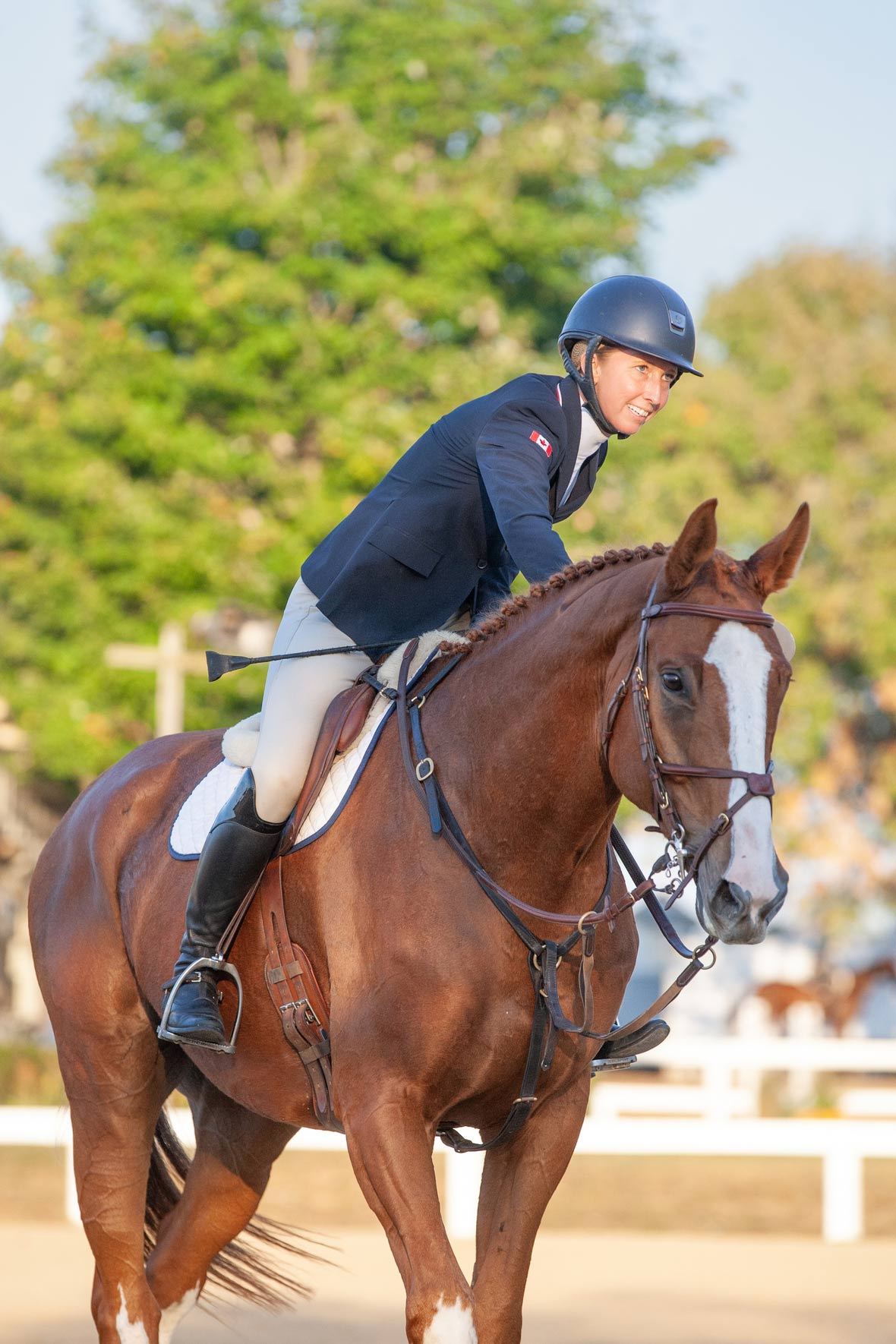 355RememberGizmo 6154 1