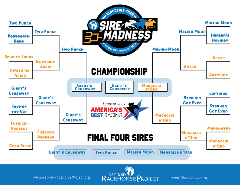 BBSireMadnessBracket Started
