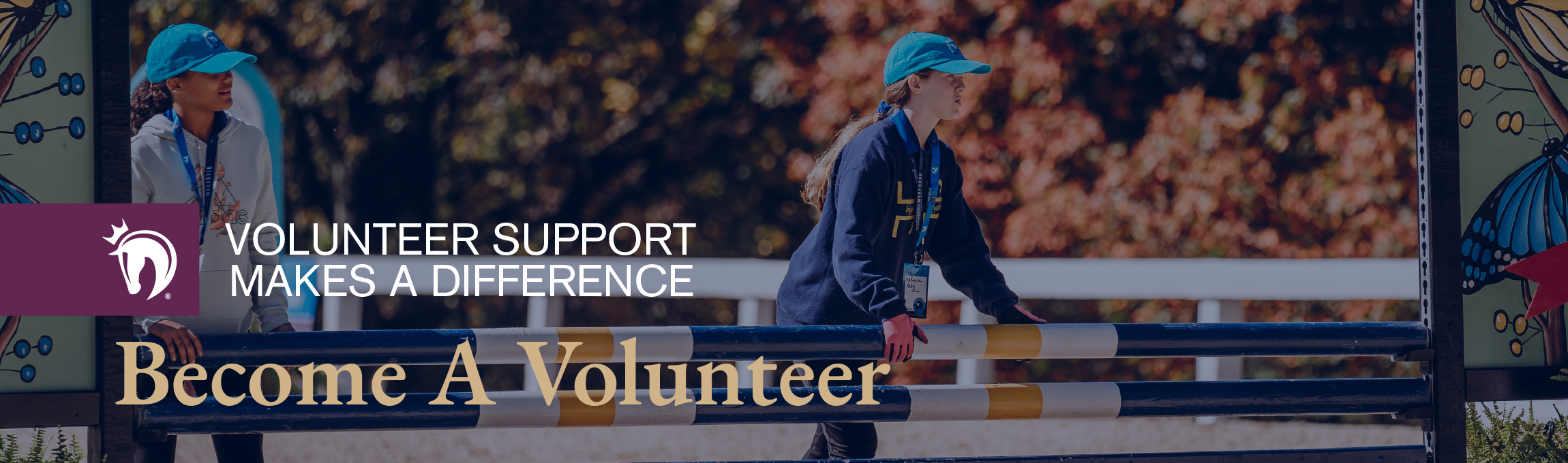 2015 Volunteer Opportunities