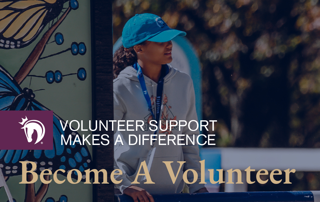 2015 Volunteer Opportunities