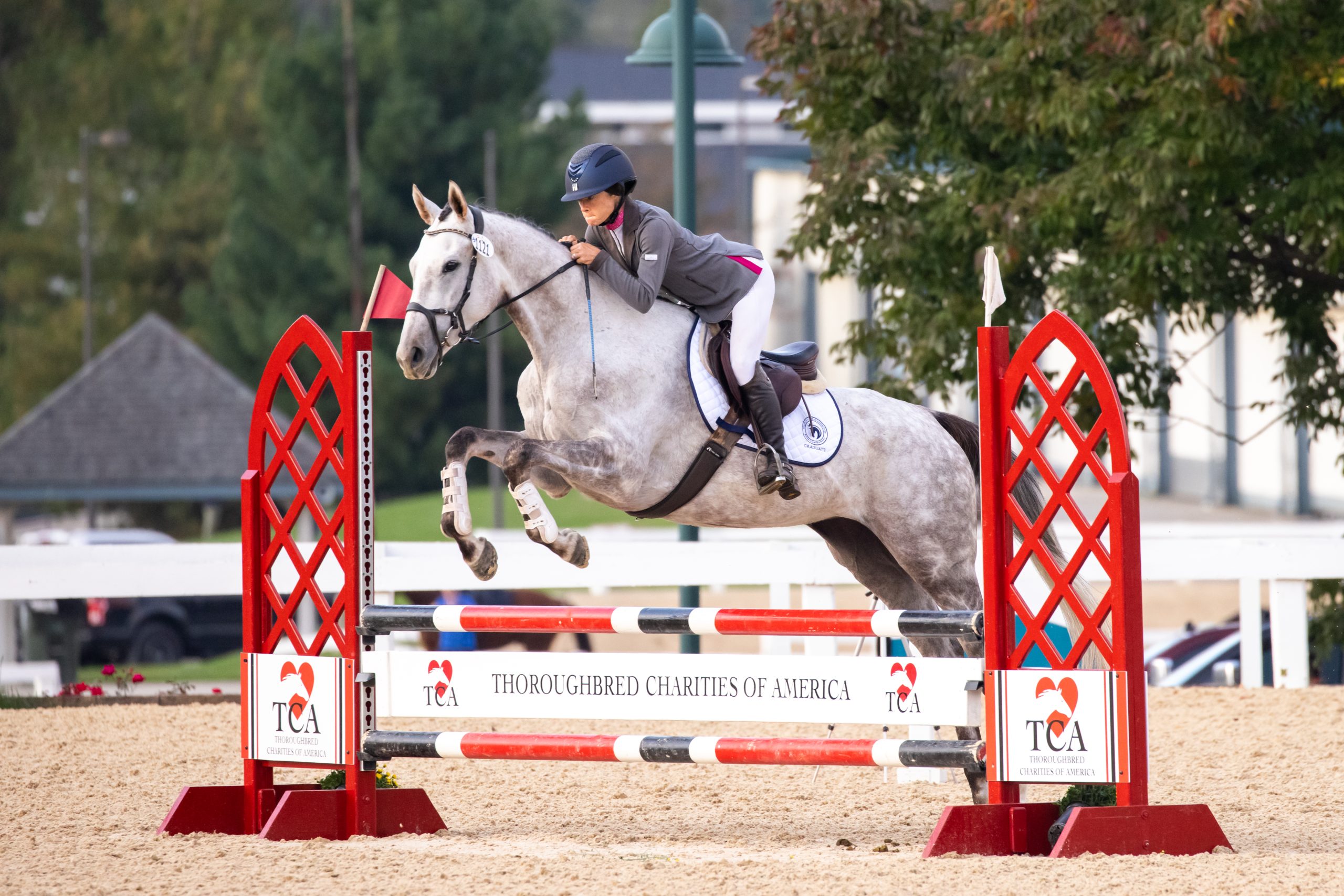 Featured image for “Thoroughbred Charities of America Returns as Title Sponsor of Thoroughbred Makeover and National Symposium”