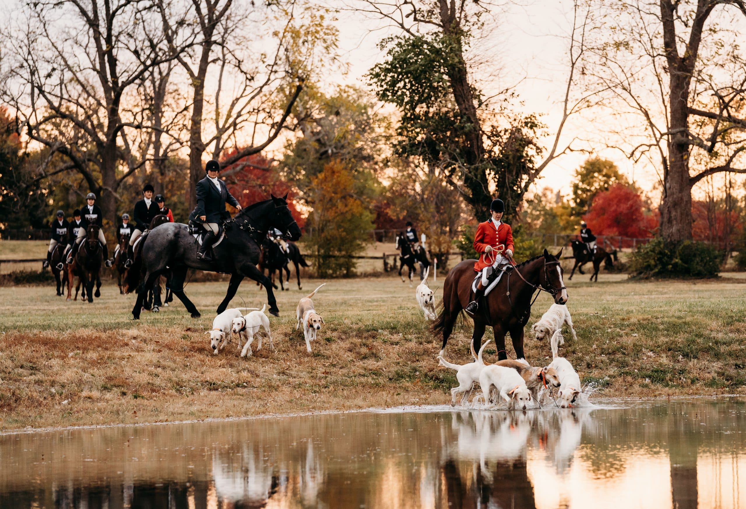 Featured image for “Developing the Perfect Foxhunter”