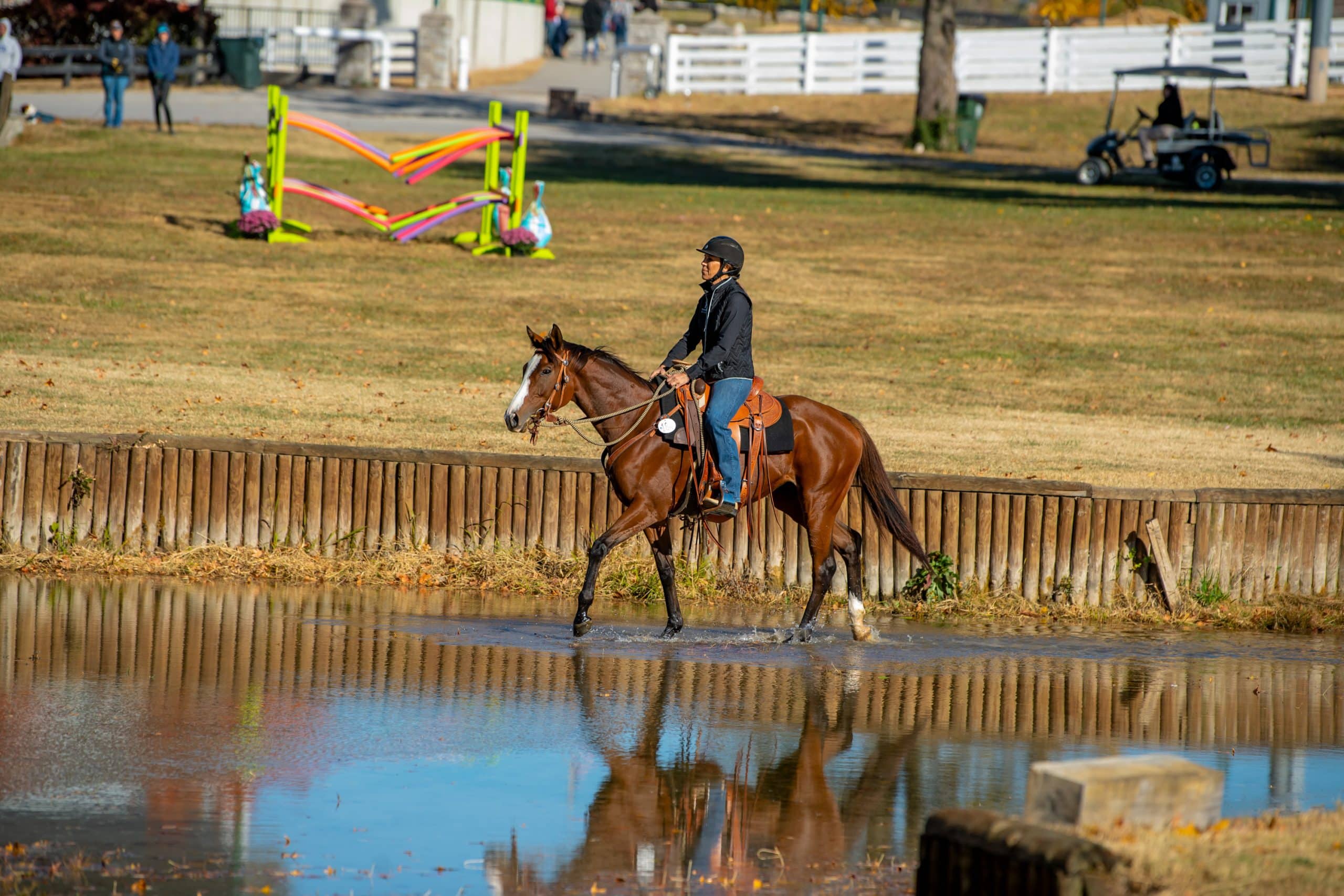 Featured image for “From the Racetrack to the Ranch”