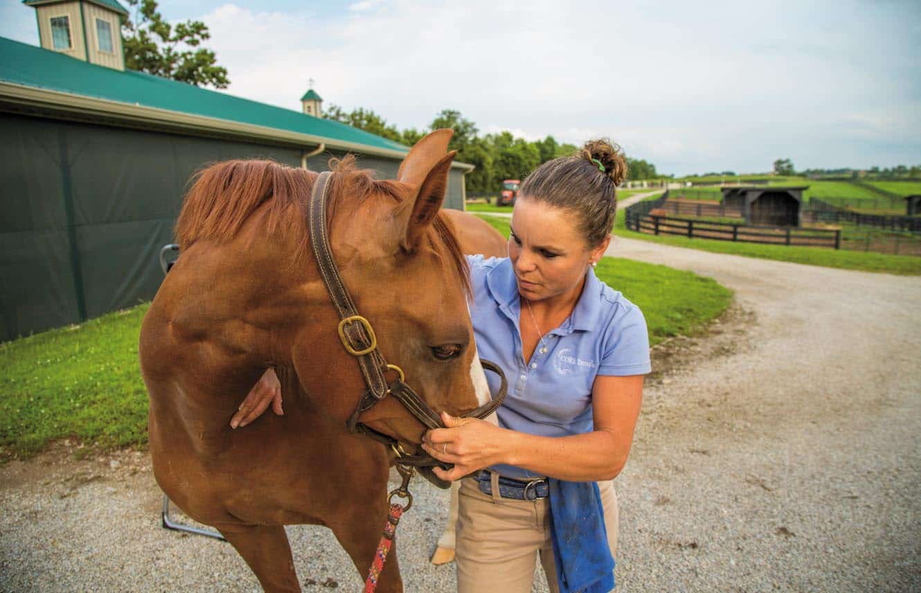 Featured image for “Protecting Your Horse’s Back”