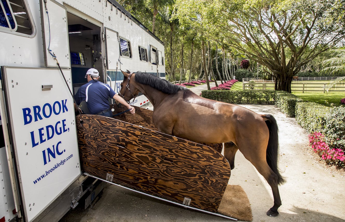 Featured image for “How Racehorses Travel”