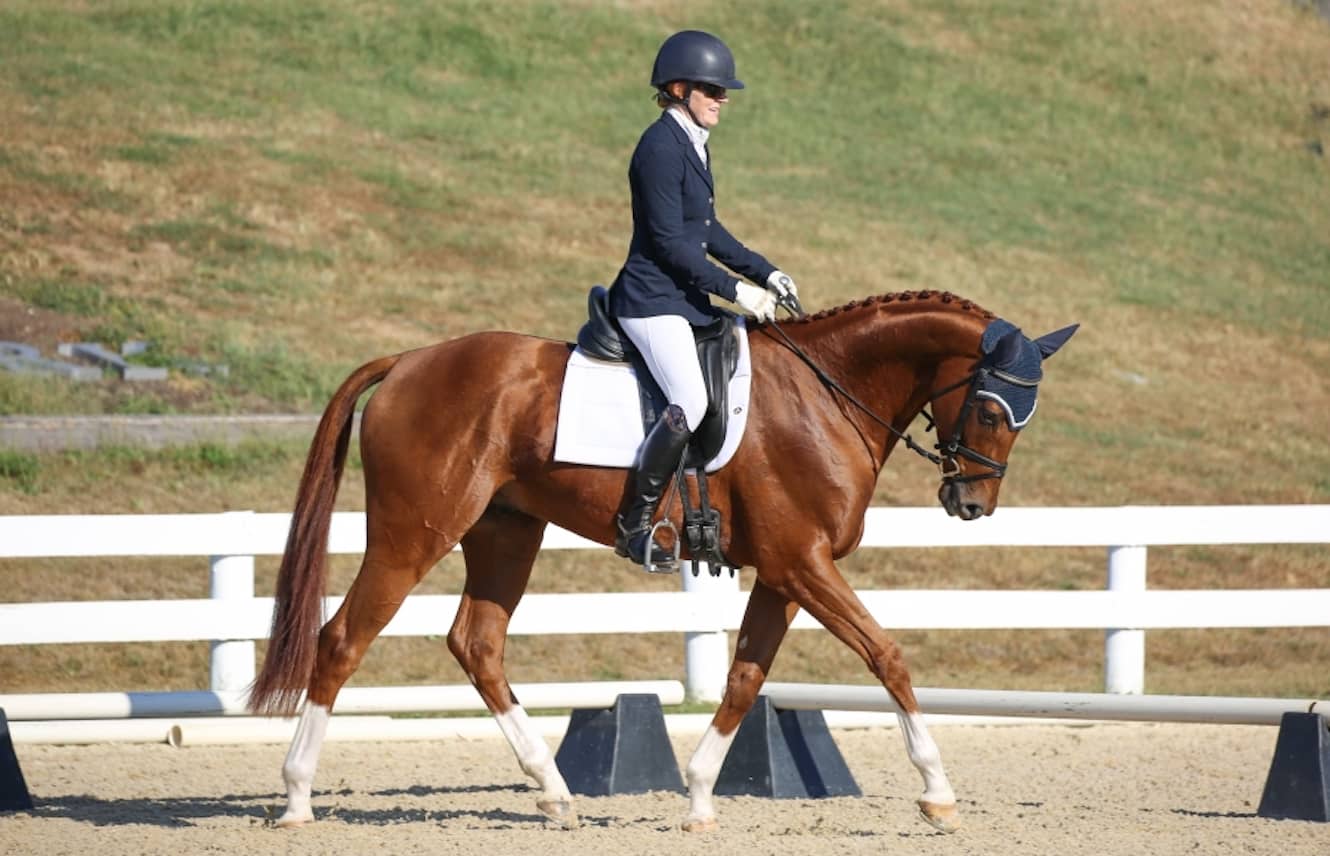 Featured image for “Thoroughbred Makeover Preliminary Competition Day One Results”