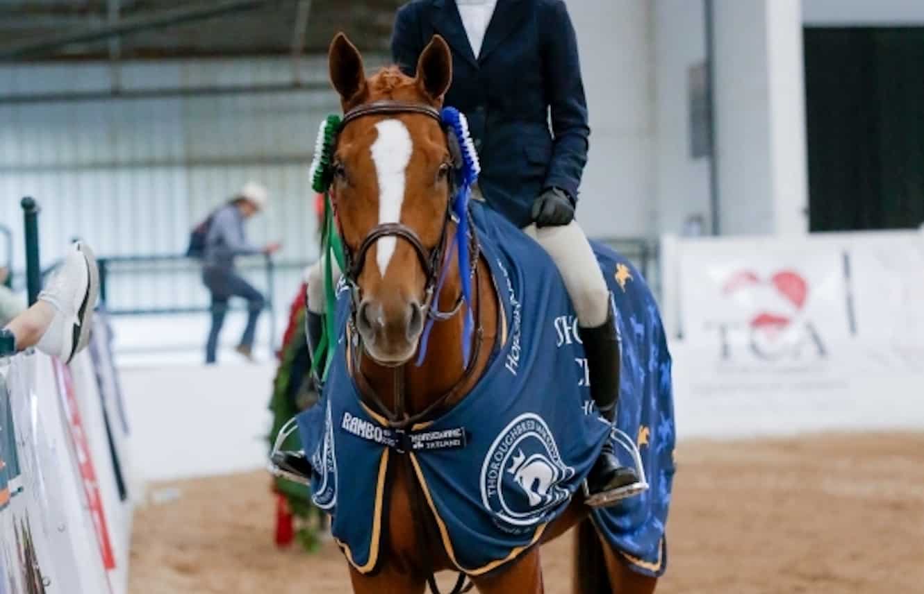 Featured image for “Applications Now Open For 2020 Thoroughbred Makeover”