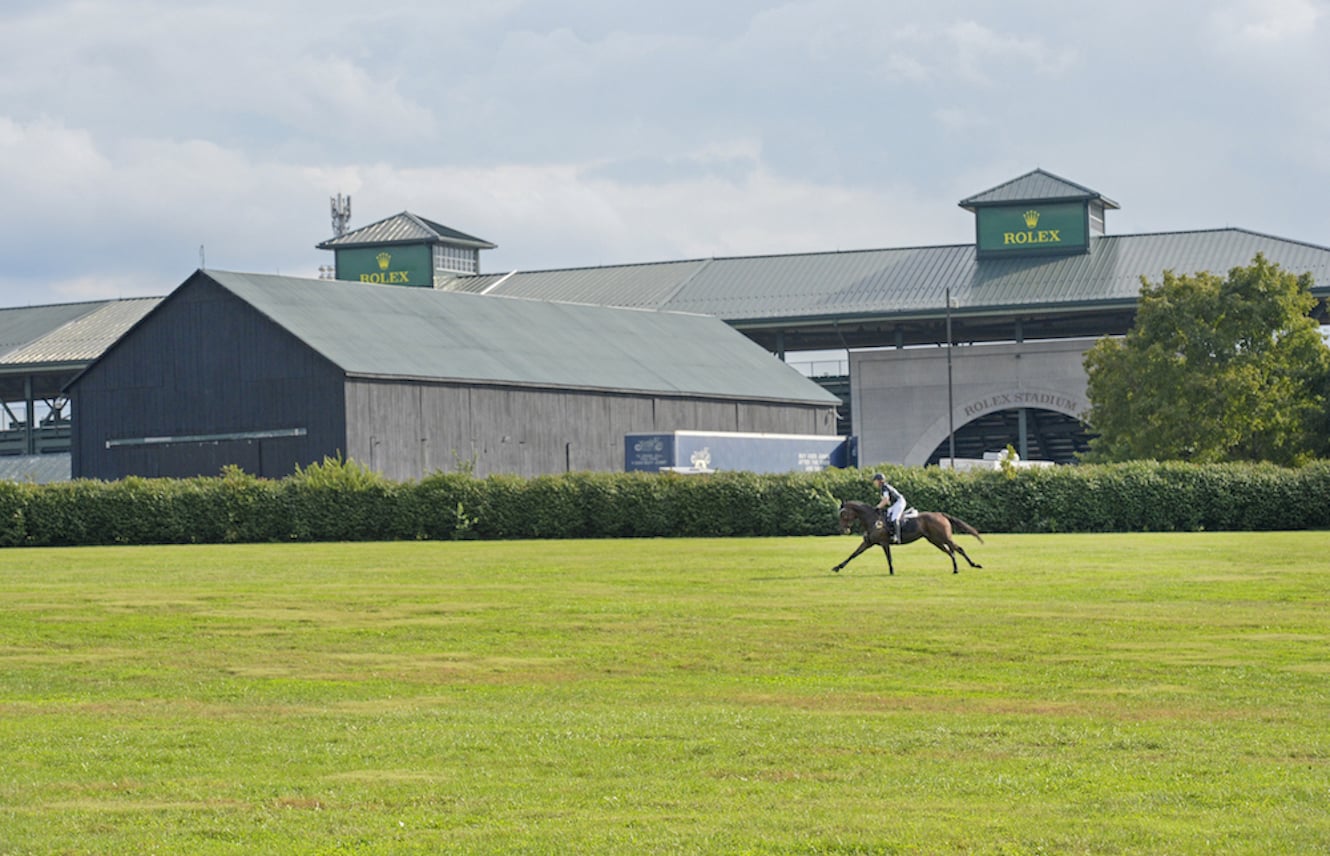 Featured image for “Retired Racehorse Project Statement on COVID-19”