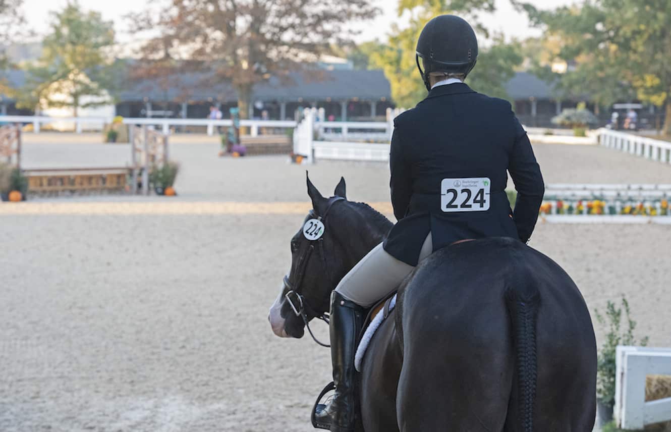 Featured image for “Second Annual Give Back to Go Scholarship Awarded to Four Thoroughbred Makeover Trainers”