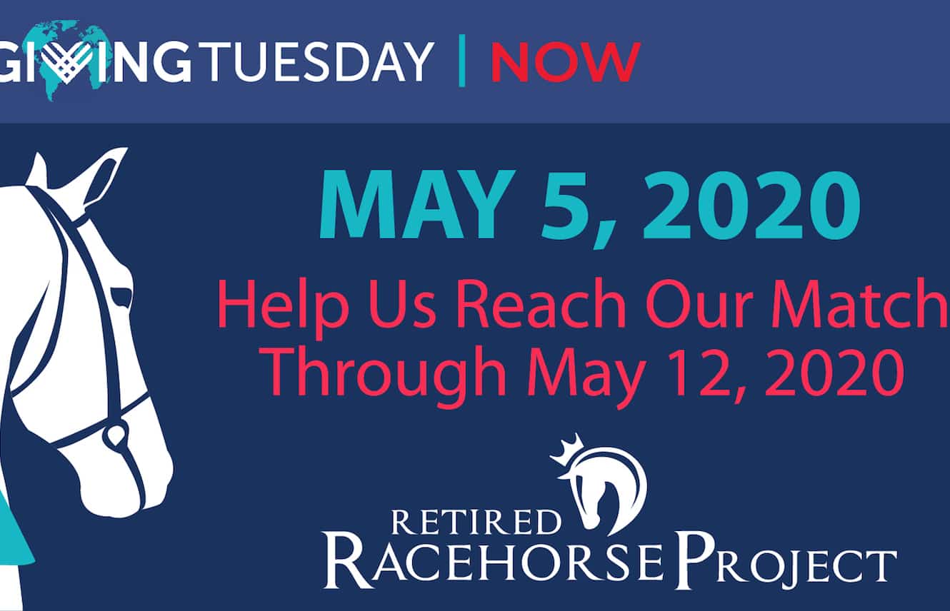 Featured image for “#GivingTuesdayNow for the Retired Racehorse Project”