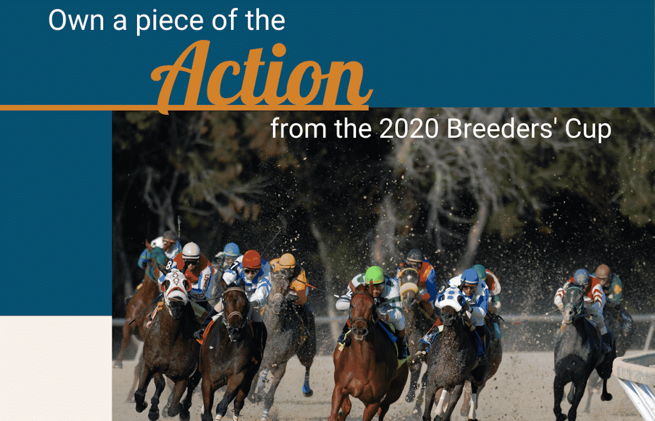 Featured image for “RRP and Fanticipate Team Up For Breeders’ Cup”