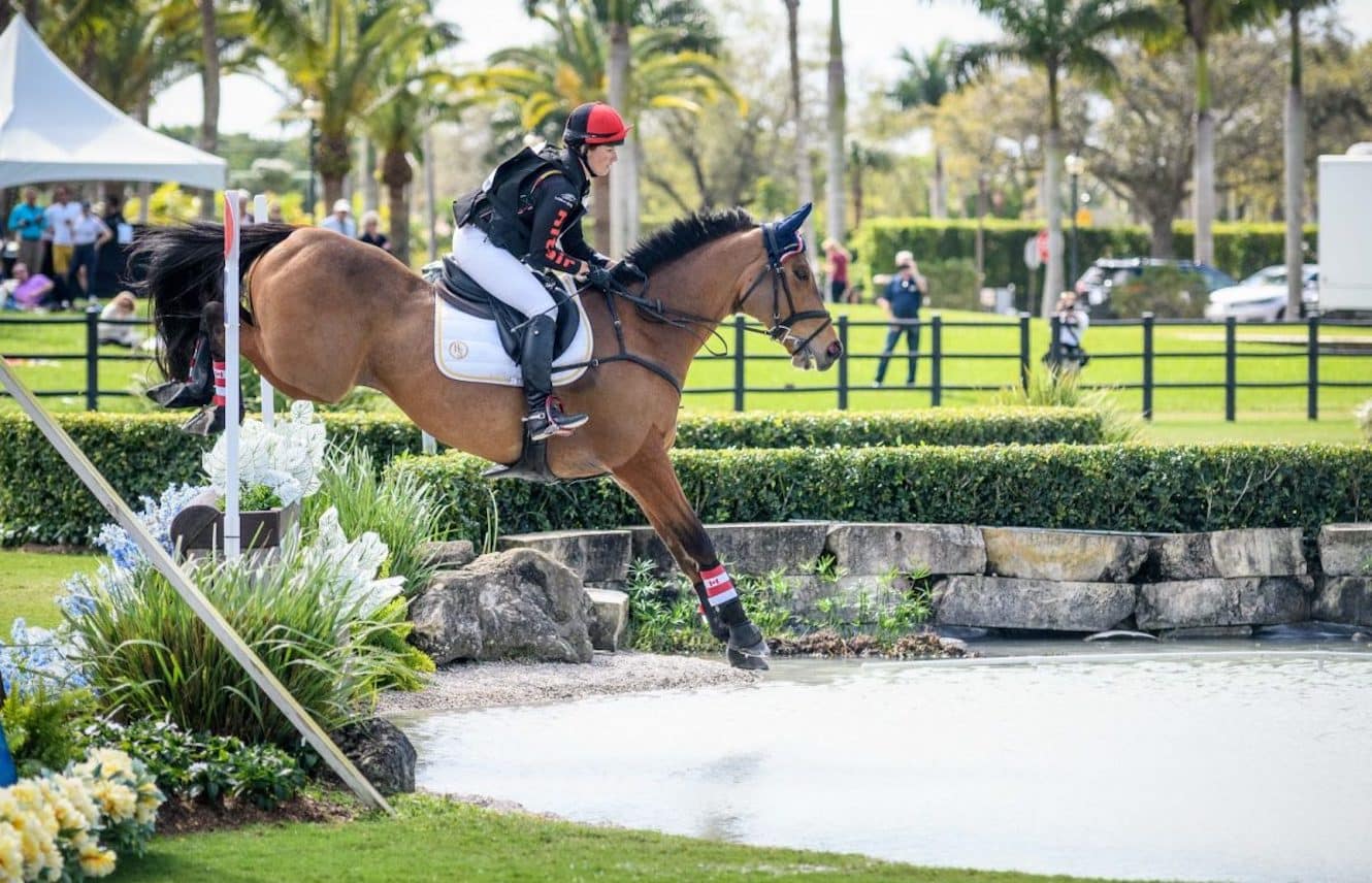 Featured image for “The Thoroughbreds of the 2021 Land Rover Kentucky Three-Day Event”