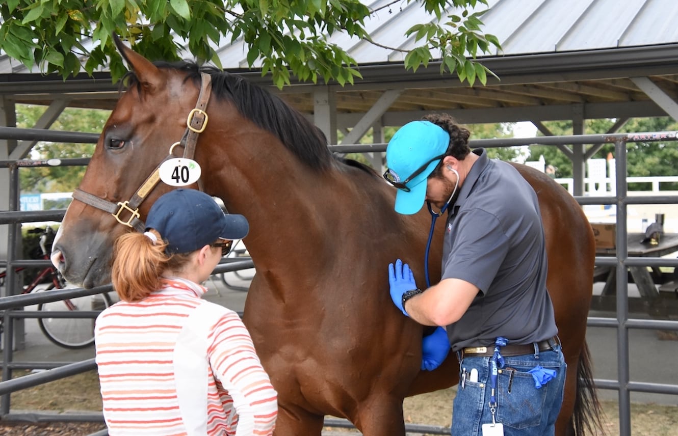 Featured image for “Keeneland Returns As Sponsor of Arrival Exam & Finale Jog at Thoroughbred Makeover”