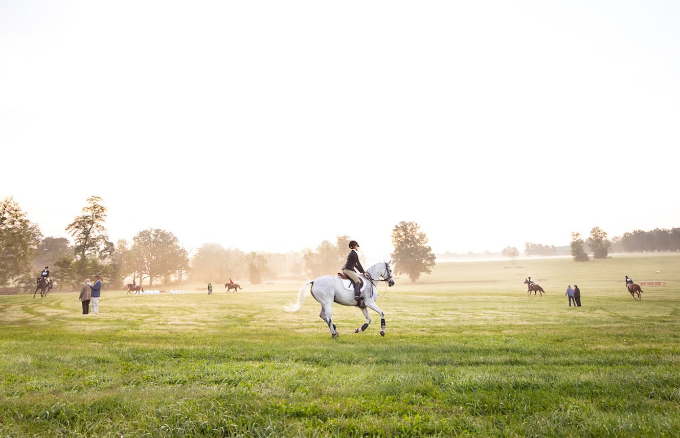 Featured image for “Day Two at the Thoroughbred Makeover & National Symposium”