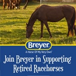 Featured image for “Breyer Horses to Offer RRP Incentive”