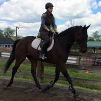 Featured image for “New Jersey equestrians prepare for 2016 Kentucky Thoroughbred Challenge”