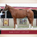 Featured image for “Taylor Made Sales Donates Keeneland September Bonus Proceeds to Support RRP”