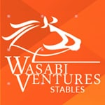 Featured image for “Become a Thoroughbred Racehorse Owner – Retired Racehorse Project and Wasabi Ventures Stables”