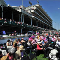 Featured image for “Kentucky Derby-Oaks Ticket Auction to Benefit Retired Racehorse Project”