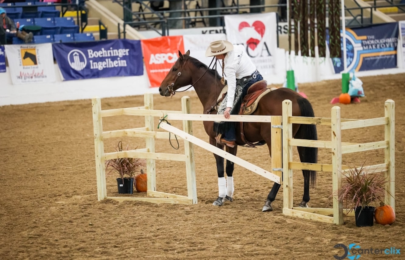 Featured image for “T.I.P. Announces Expanded Championships at Thoroughbred Makeover”