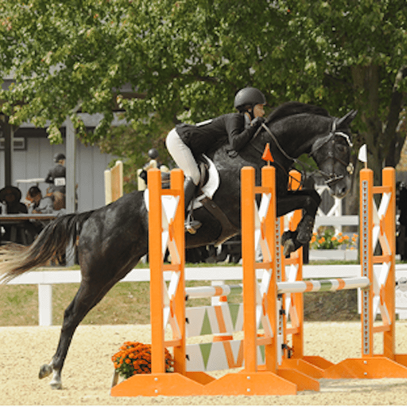 Thoroughbred Makeover Applications Open