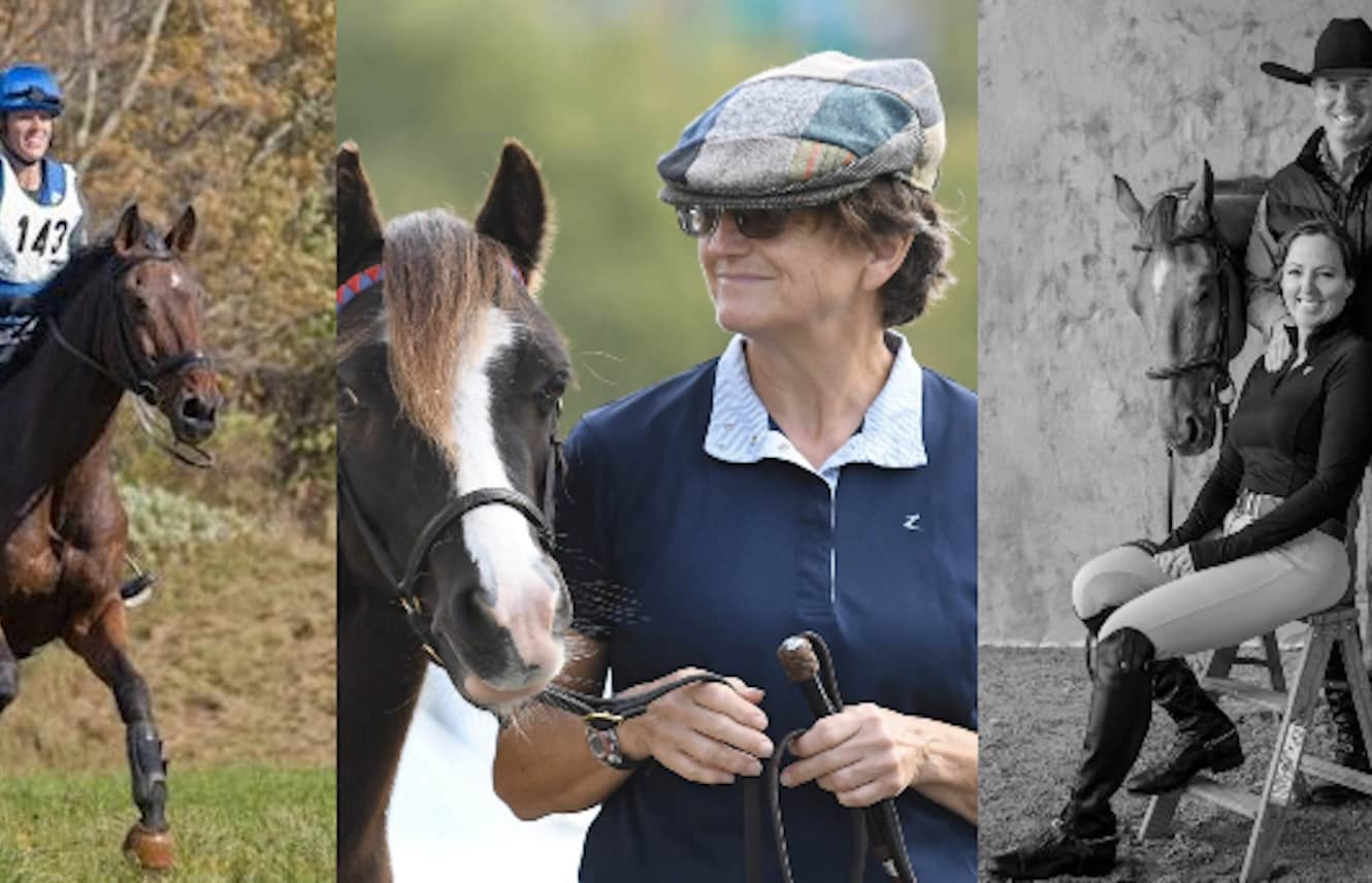 Featured image for “Retired Racehorse Project Elects New Board Members and Officers”