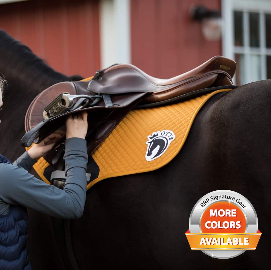 Featured image for “Shires Performance Saddle Pads”