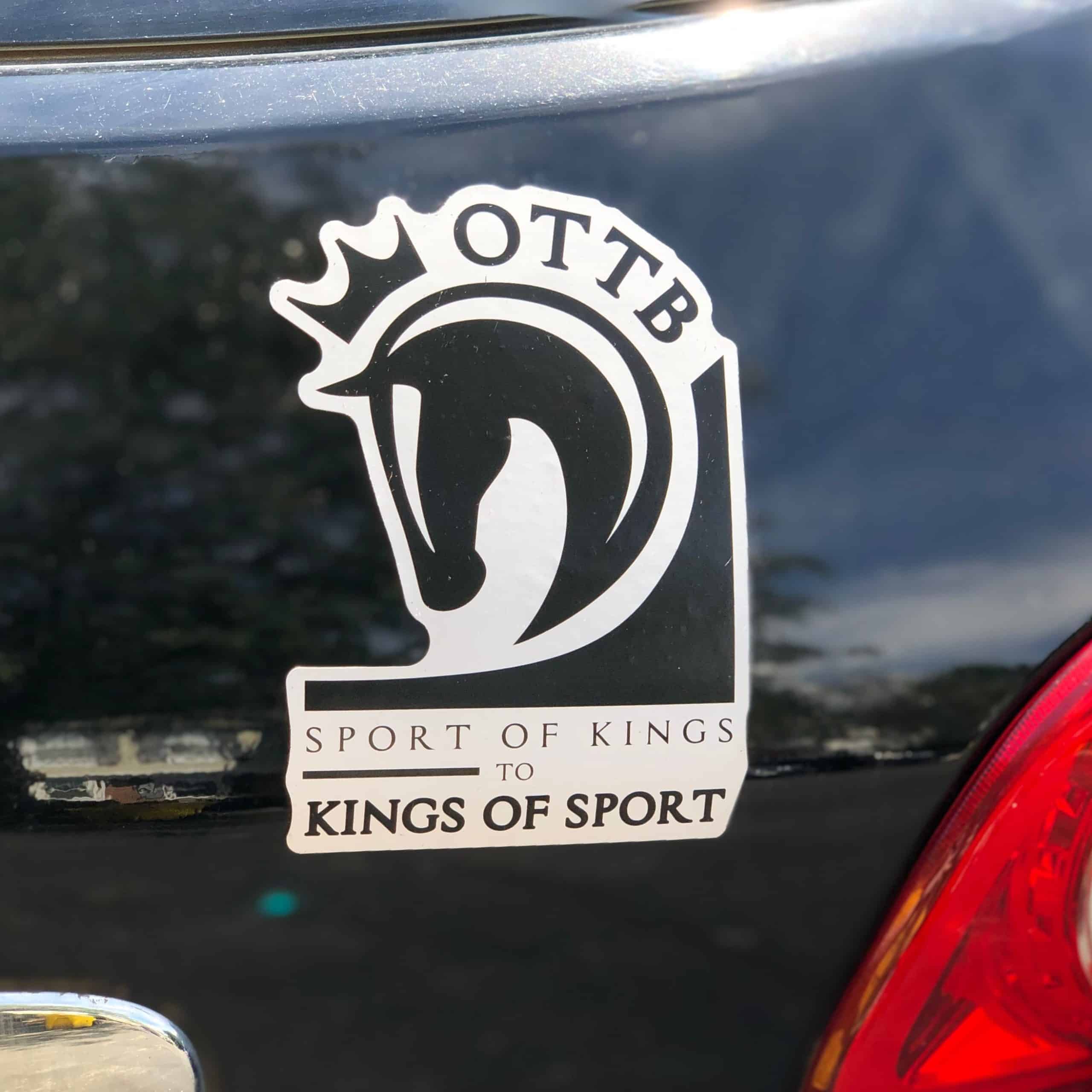 Featured image for “Kings of Sport Magnet”