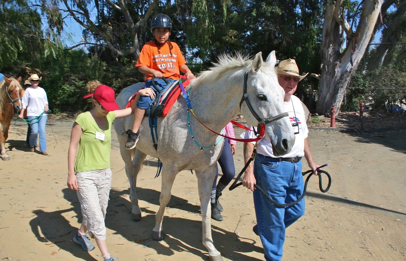 Featured image for “Therapy Thoroughbreds”