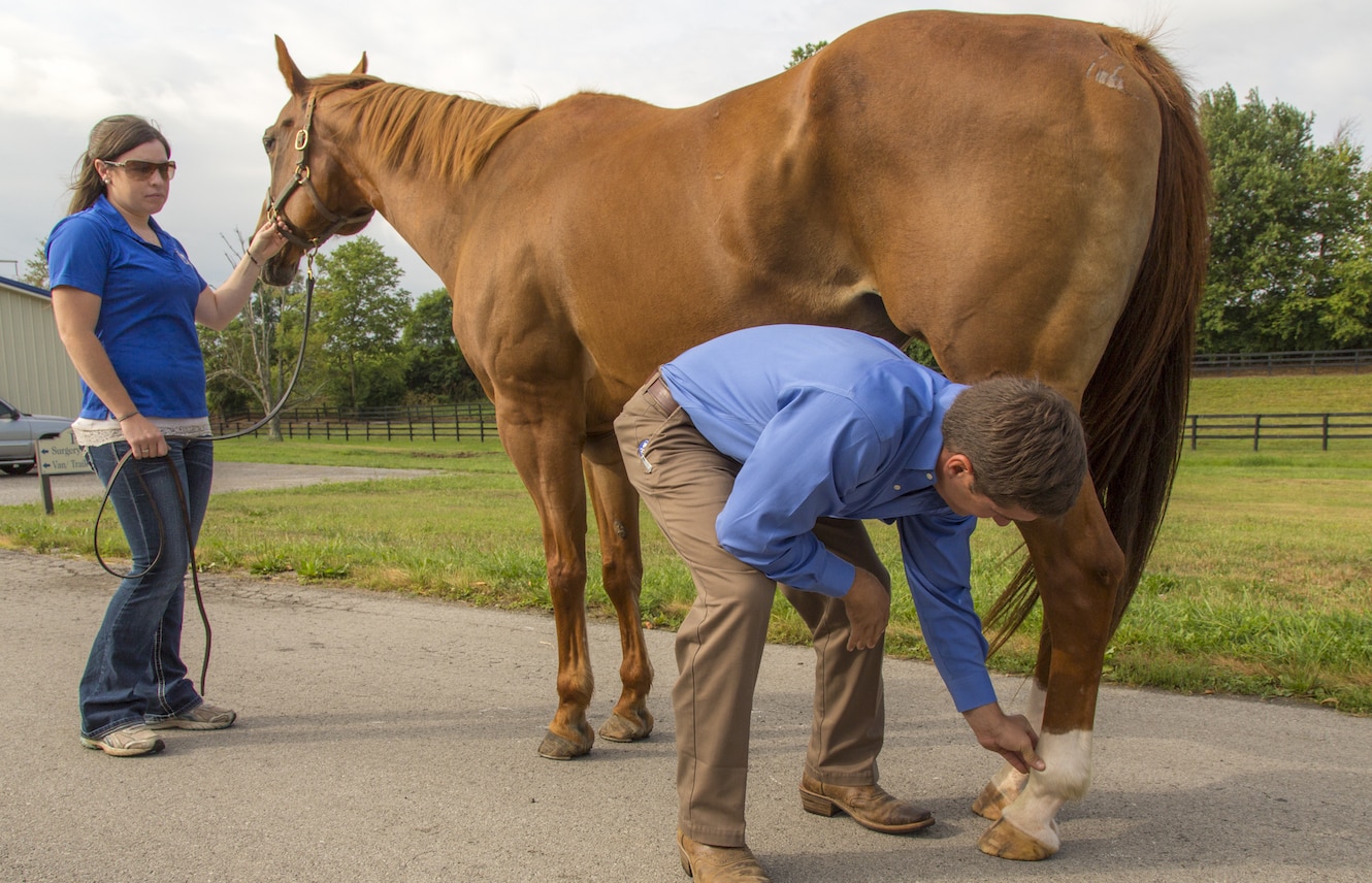 Featured image for “Managing Ankle Injuries Acquired on the Racetrack”