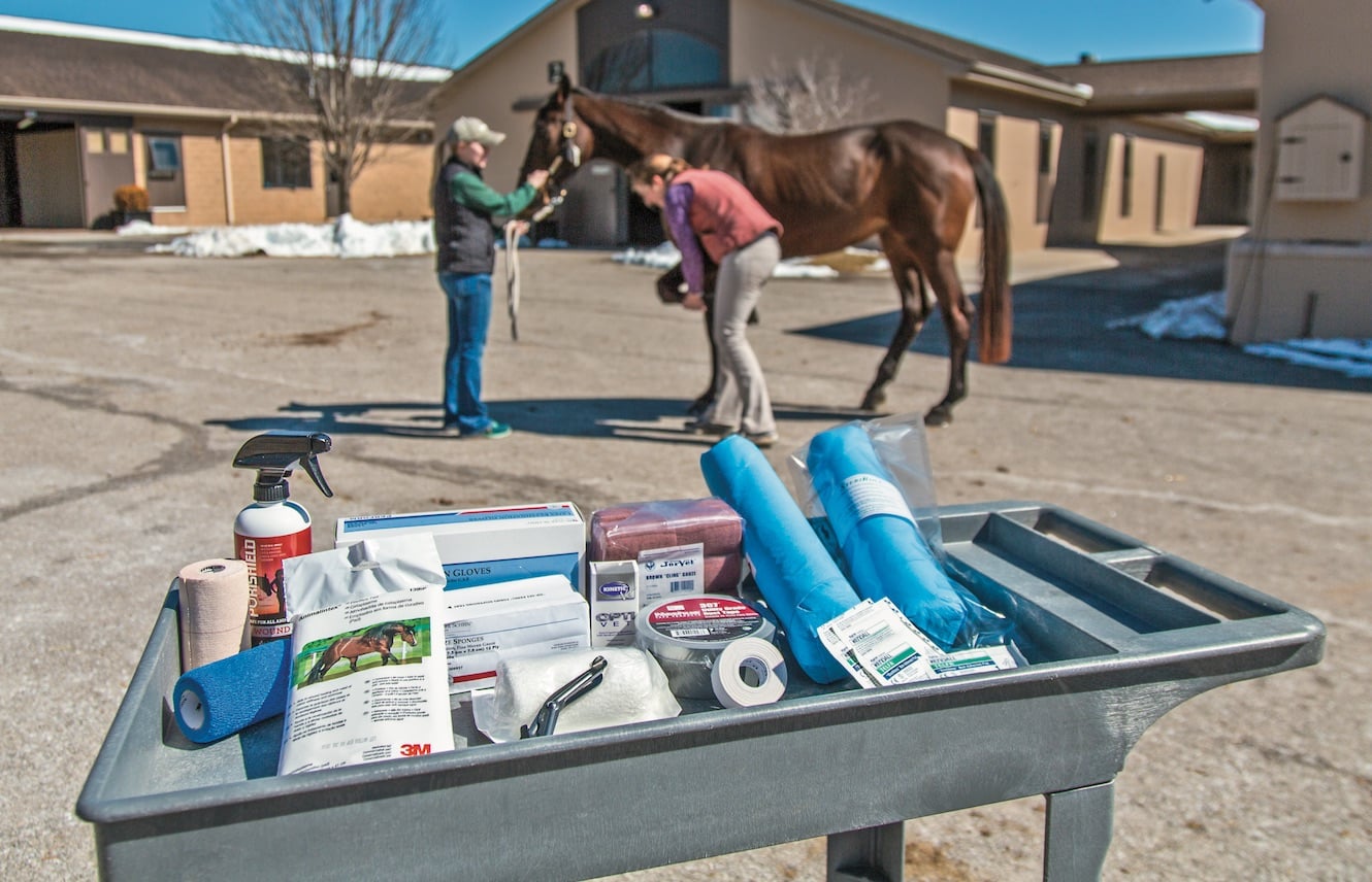 Featured image for “The Essential Equine Emergency Kit”