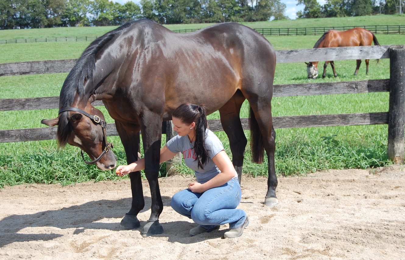 Featured image for “That Tip-Top Topline”