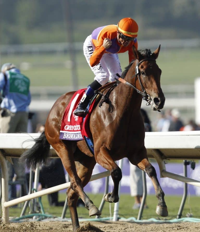 Developing Young Racehorses Retired Racehorse Project