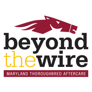 Featured image for “Beyond The Wire”