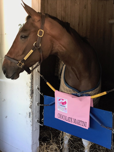 CM with Kentucky Oaks saddle towel400