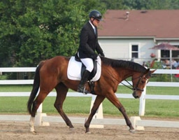 Featured image for “Makeover Preview at Grand Haven Stable”