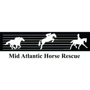 Featured image for “MidAtlantic Horse Rescue”