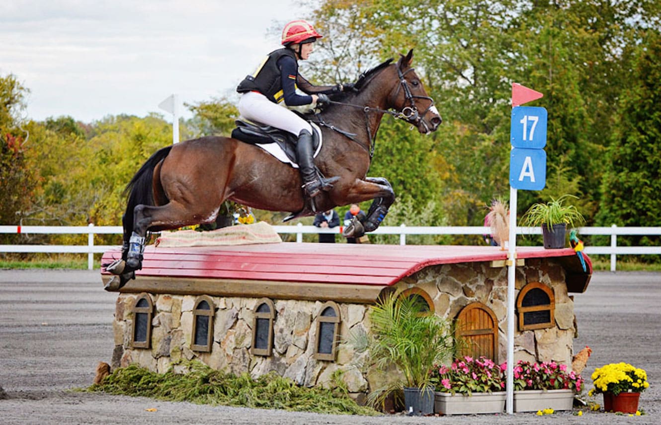 Featured image for “The Thoroughbreds of the 2017 Rolex Kentucky Three-Day Event”