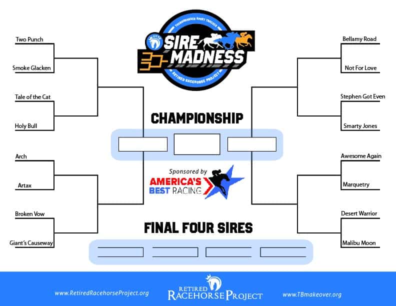 TBSTSireMadnessBracket2020ABR 01