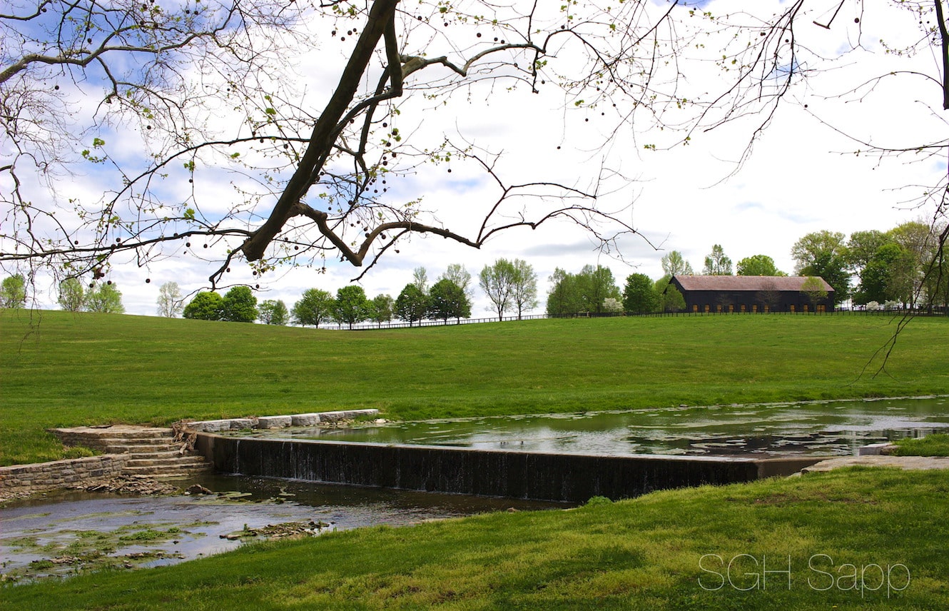 Featured image for “Growing Up in the Bluegrass”