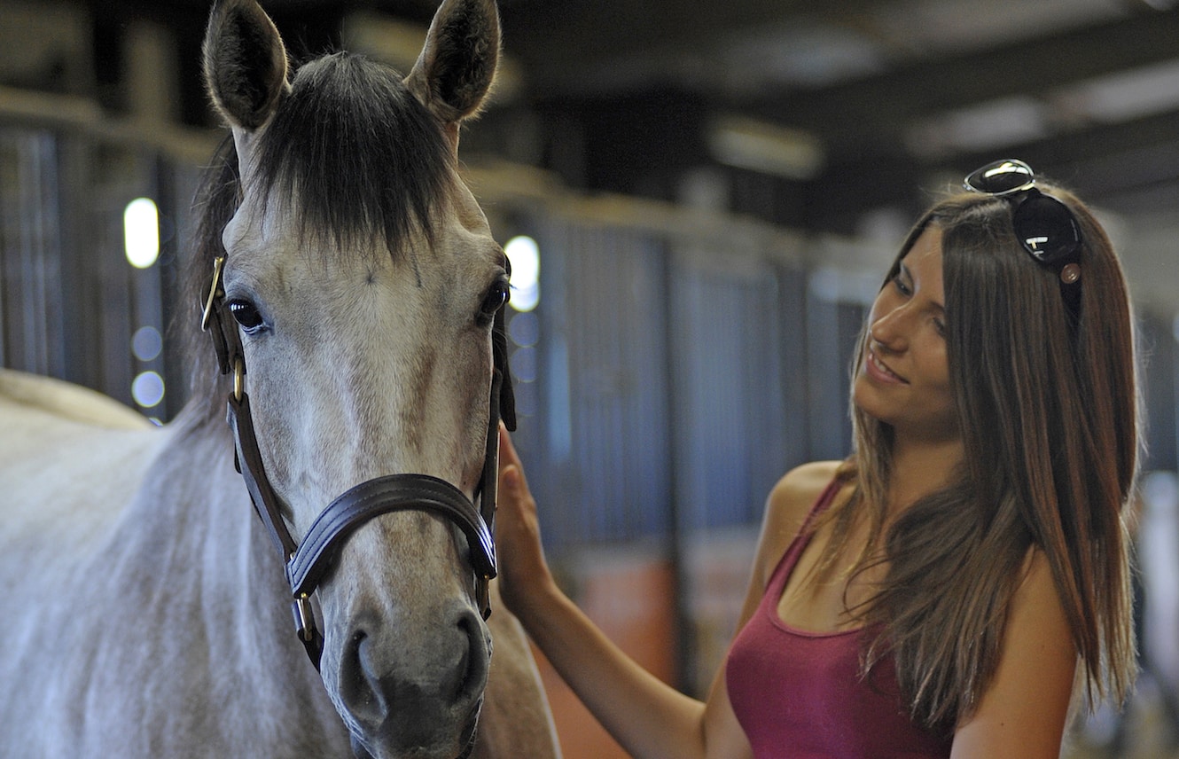 Featured image for “How Much Does an OTTB Cost?”