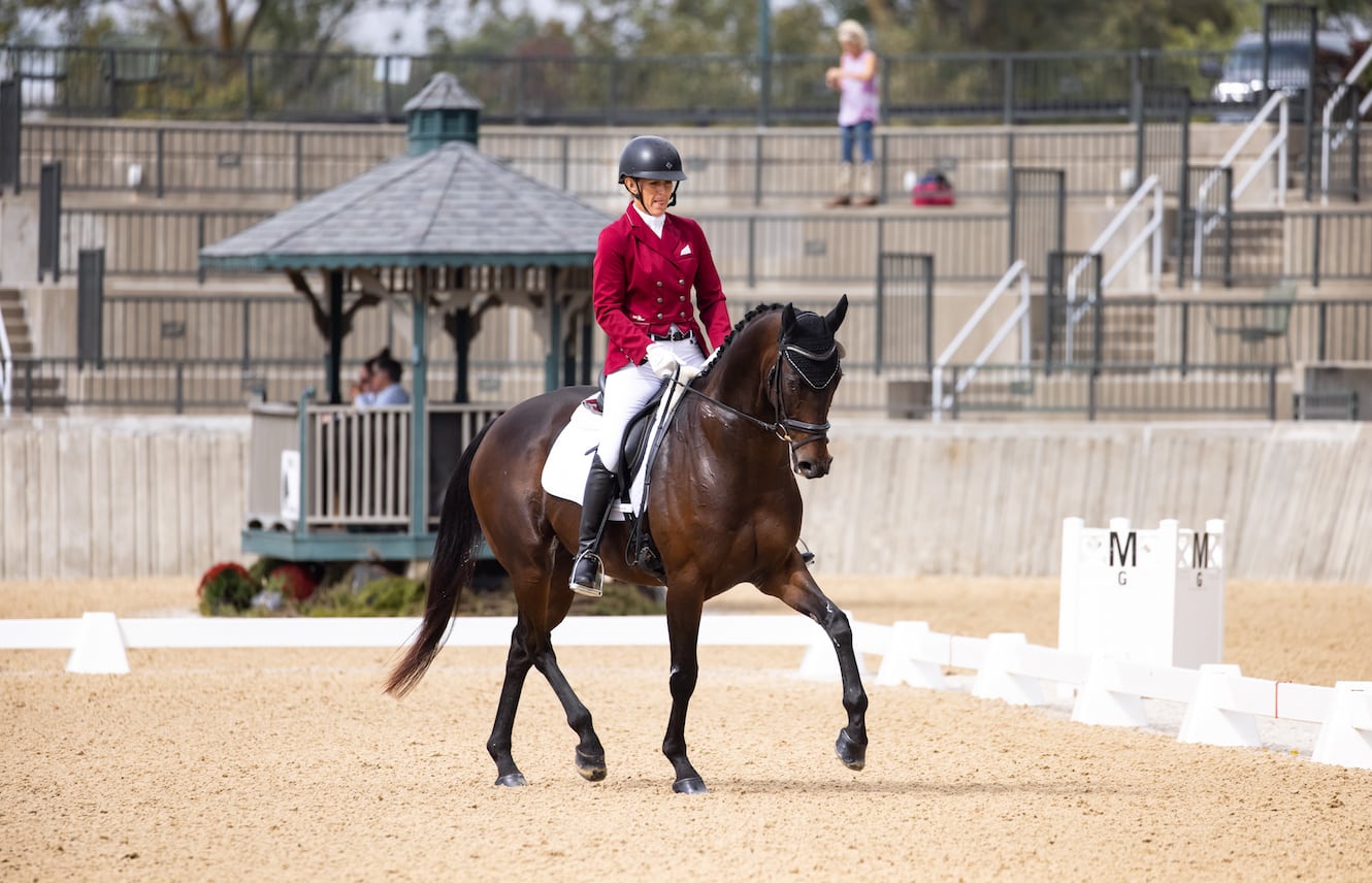 Flatwork for All - Retired Racehorse Project