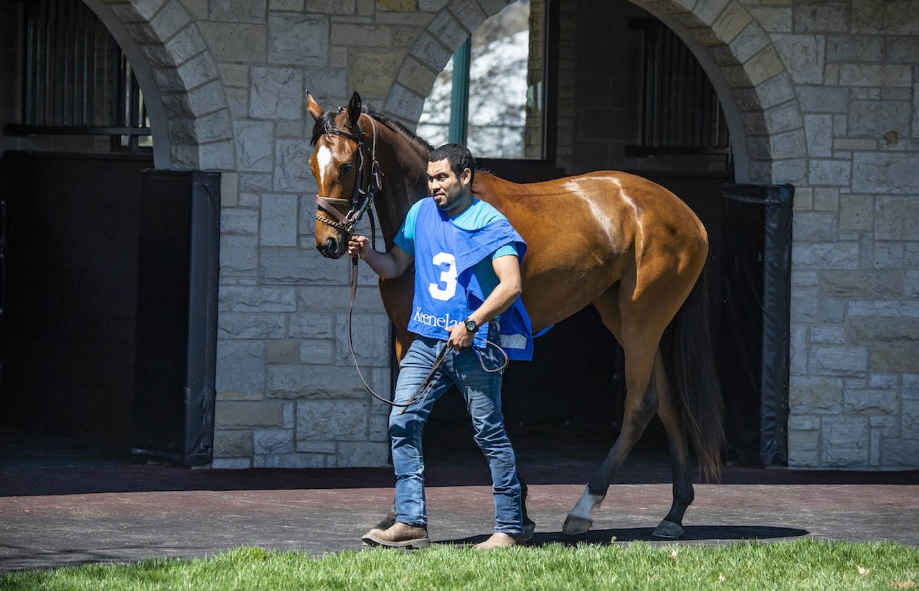 Featured image for “How Racehorses Are Handled”