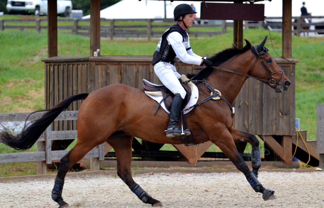 Featured image for “A Horse With No Name: Identifying Thoroughbreds”