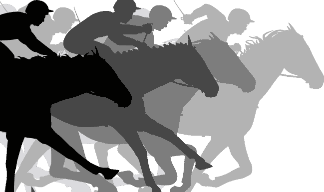 racehorses