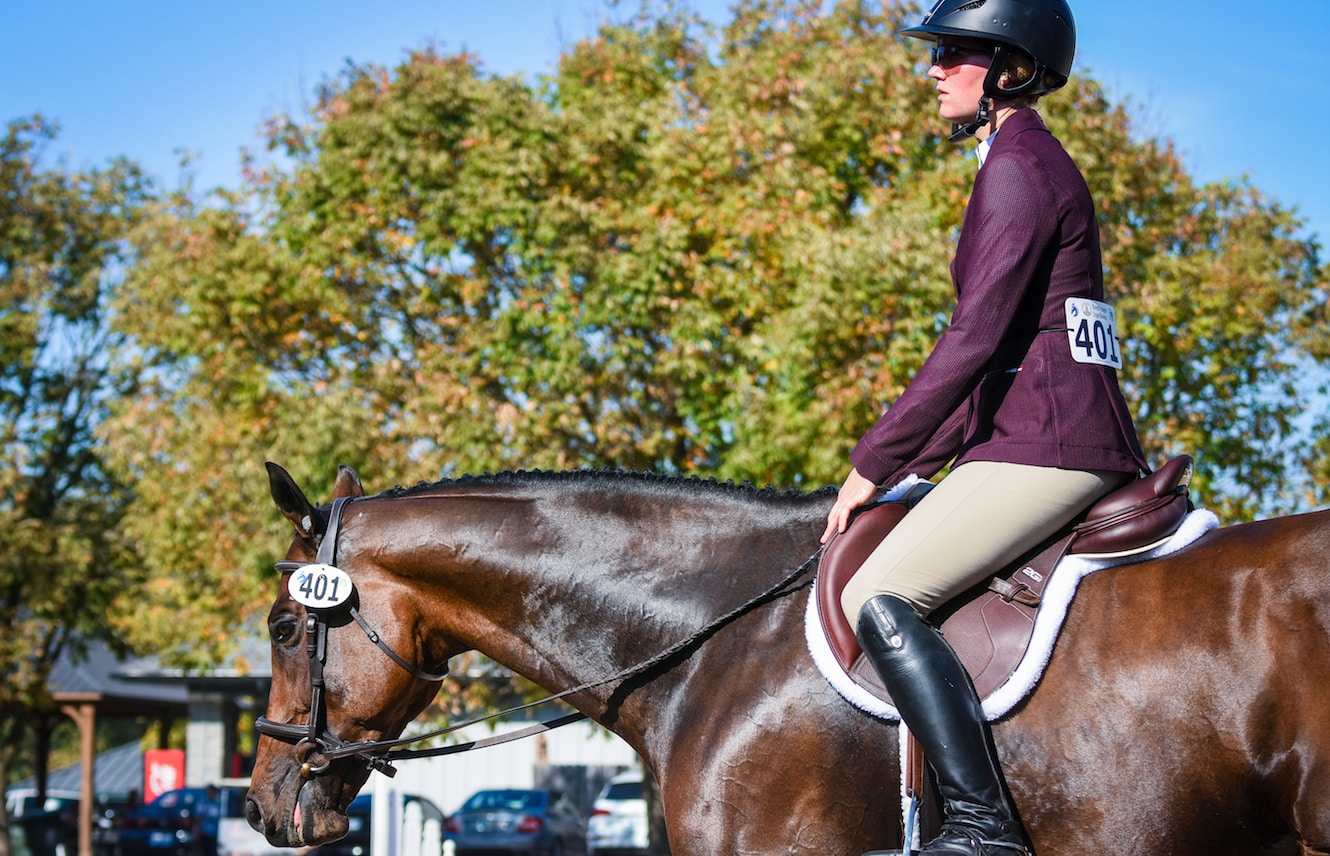 Featured image for “The Show Ring Debut”