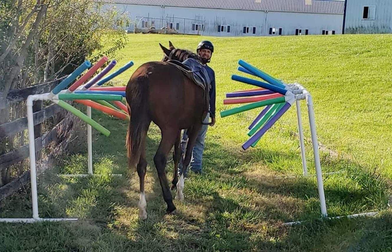 Featured image for “Backing and Starting Racehorses”