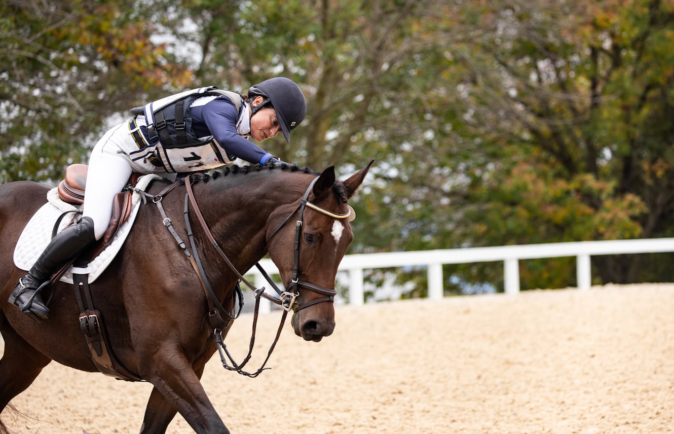 Featured image for “Keeping Track of Your Former Racehorse”